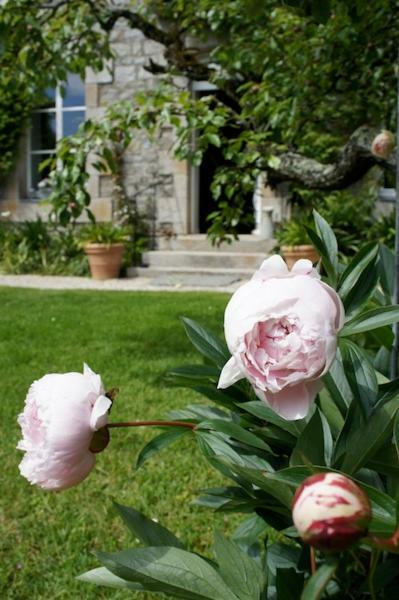 La Maison Les Mimosas Le Minihic-sur-Rance Екстериор снимка